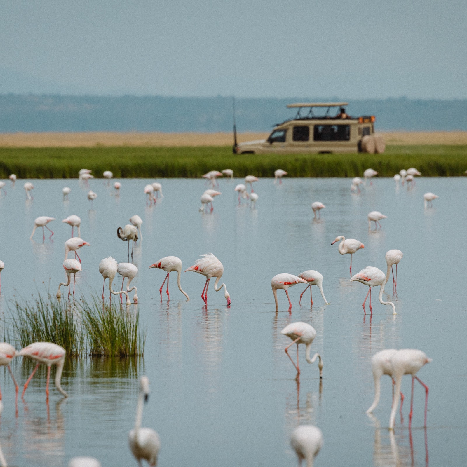 How Young Is Too Young for Kids to Go on an African Safari?